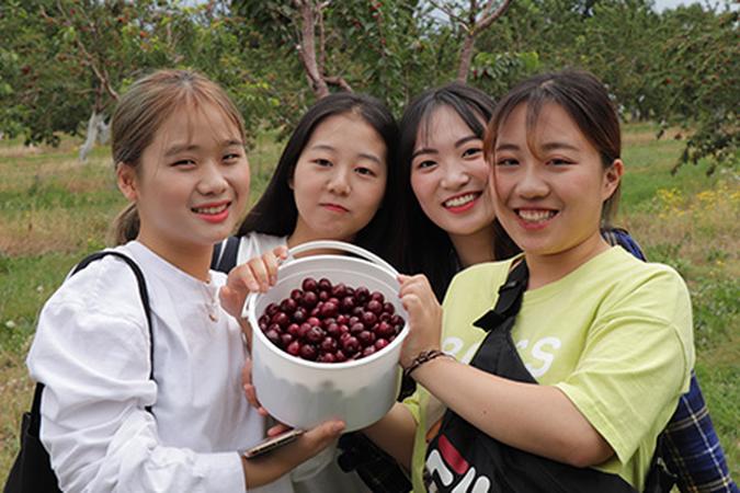 International students berry picking on field trip